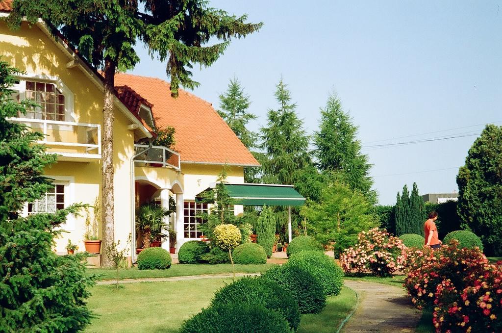Villa Hedi Dunakiliti Εξωτερικό φωτογραφία
