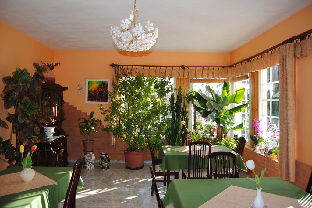 Villa Hedi Dunakiliti Εξωτερικό φωτογραφία