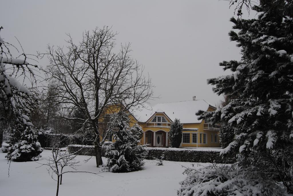 Villa Hedi Dunakiliti Εξωτερικό φωτογραφία