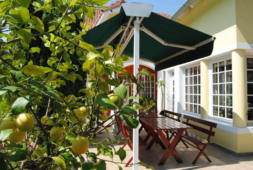 Villa Hedi Dunakiliti Εξωτερικό φωτογραφία