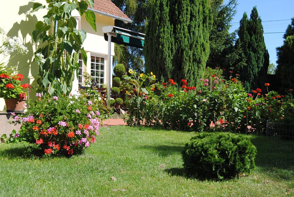 Villa Hedi Dunakiliti Εξωτερικό φωτογραφία