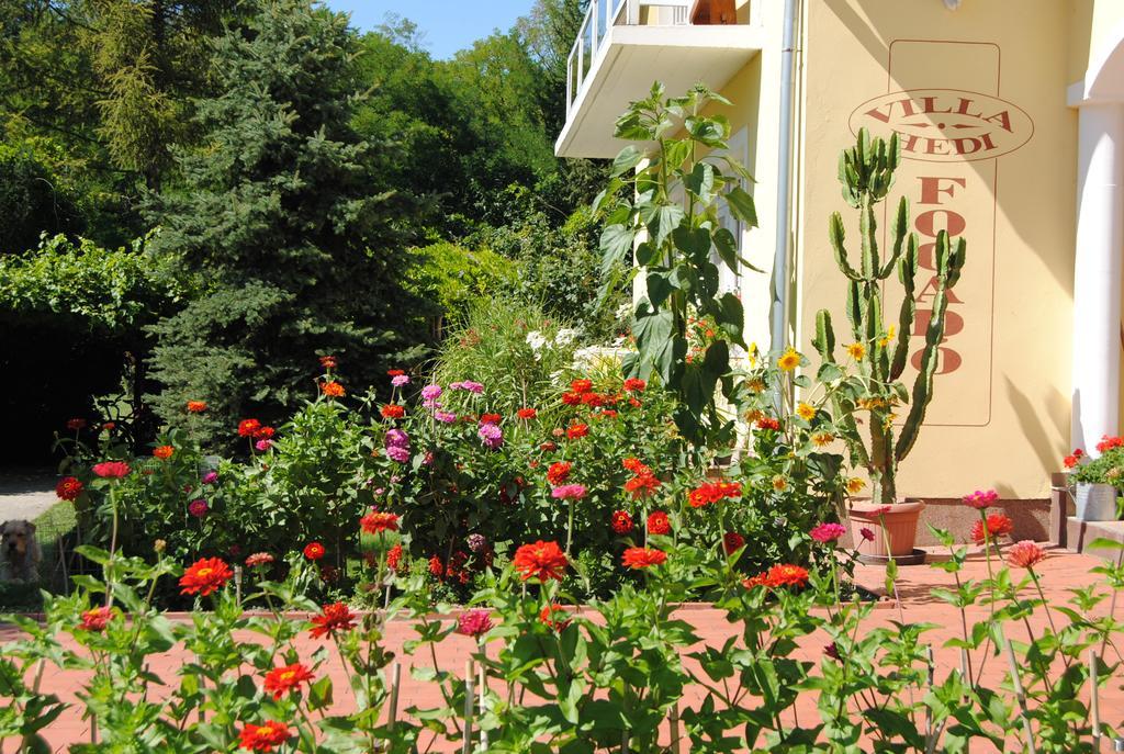 Villa Hedi Dunakiliti Εξωτερικό φωτογραφία