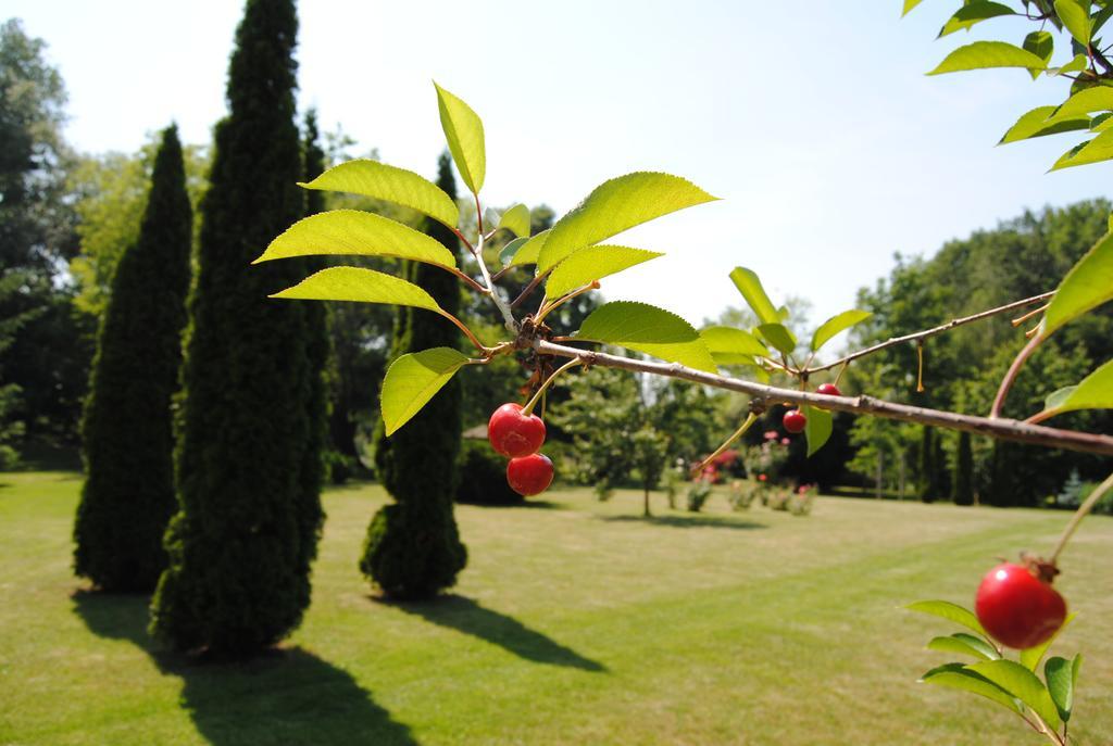 Villa Hedi Dunakiliti Εξωτερικό φωτογραφία